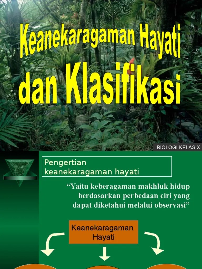 Soal Dan Jawaban Materi Keanekaragaman Hayati Kelas 10 Blog Keeps