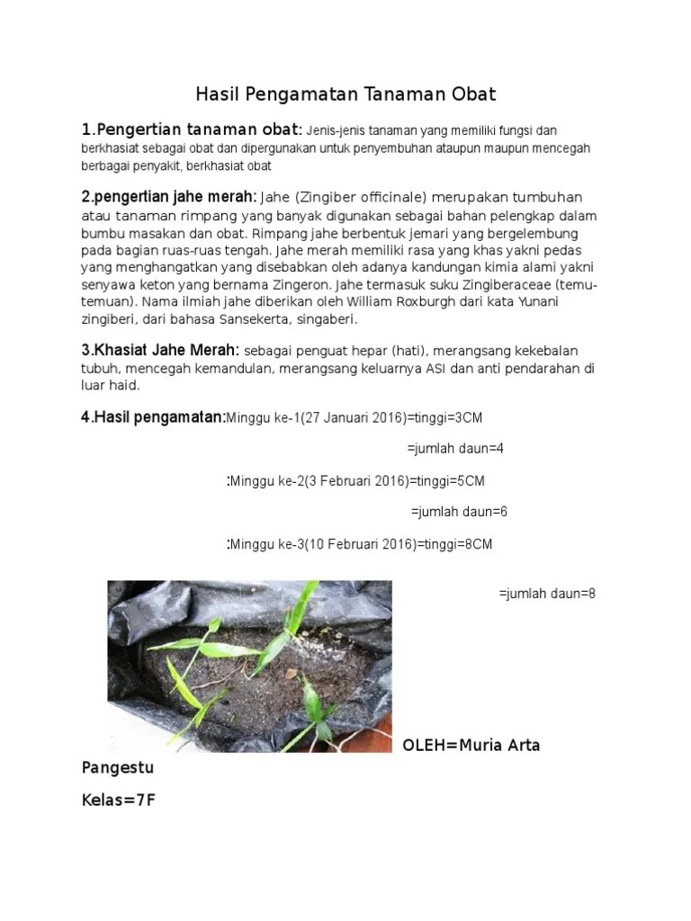 Contoh Laporan Observasi Tanaman Obat