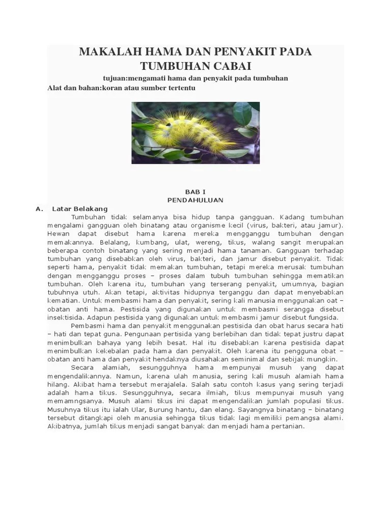 Makalah Hama Dan Penyakit Pada Tumbuhan Cabai