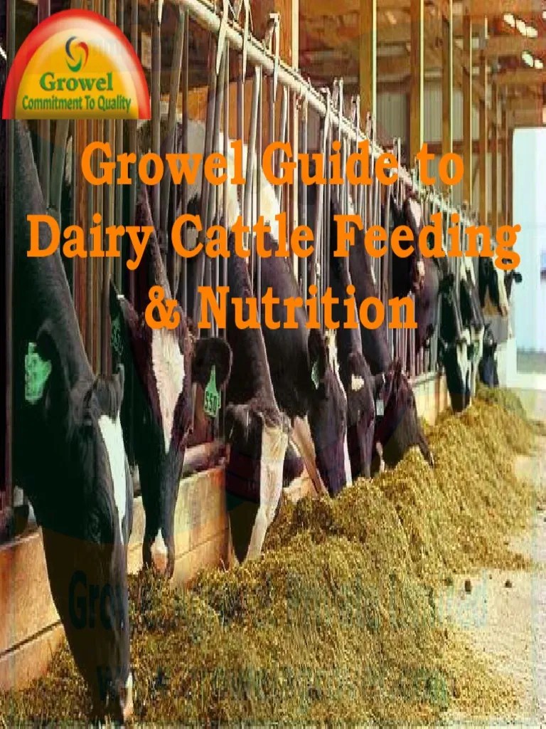Growel Guide to Dairy Cattle Feeding & Nutrition Ruminant Dairy