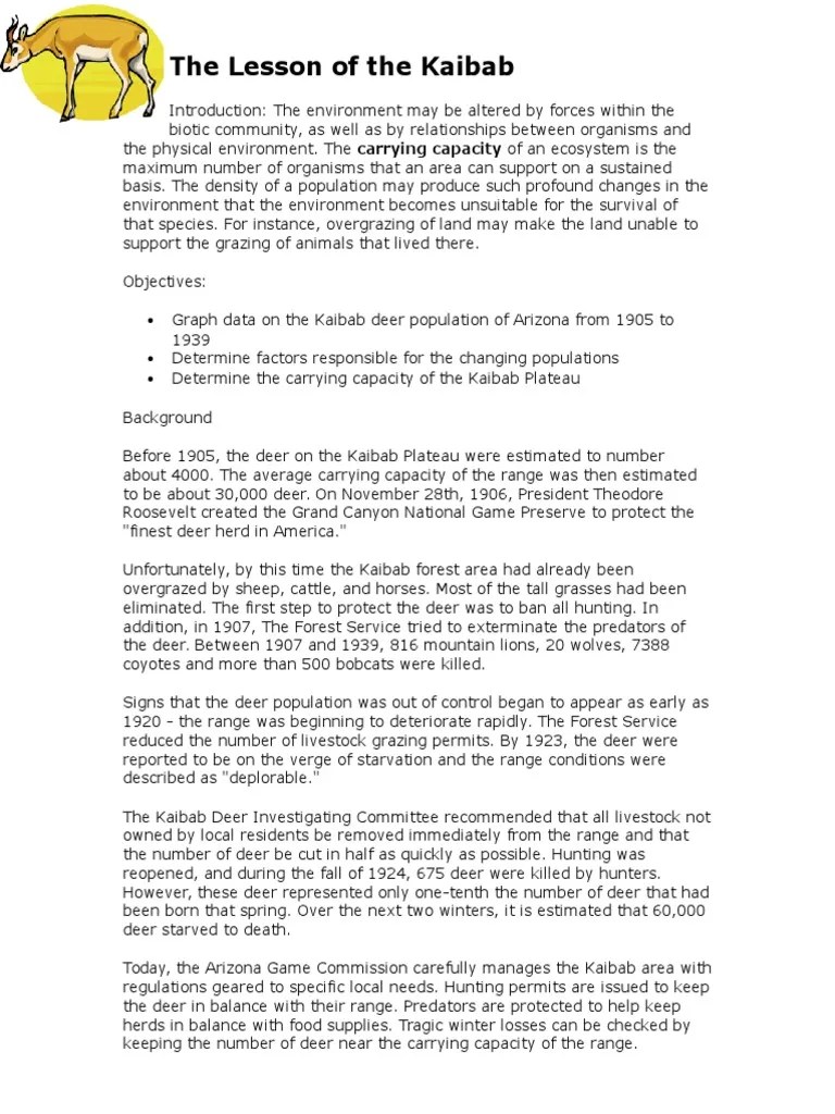 Deer And Wolf Population Worksheet Answers Promotiontablecovers