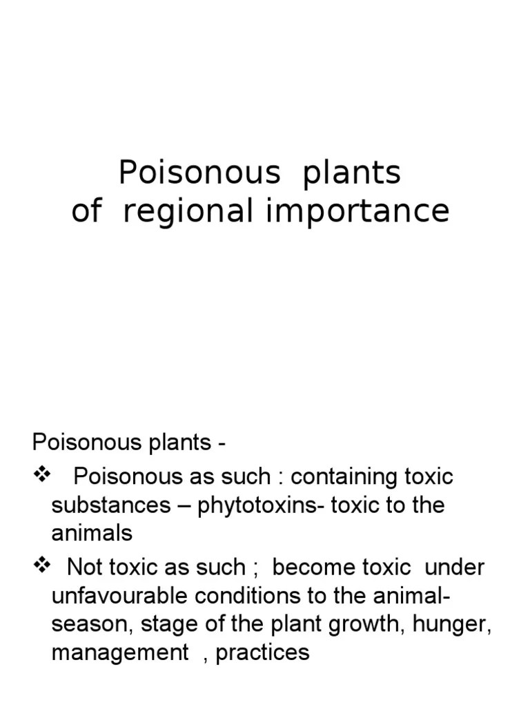 Common Plants Poisonous To Livestock PDF Oat Poison