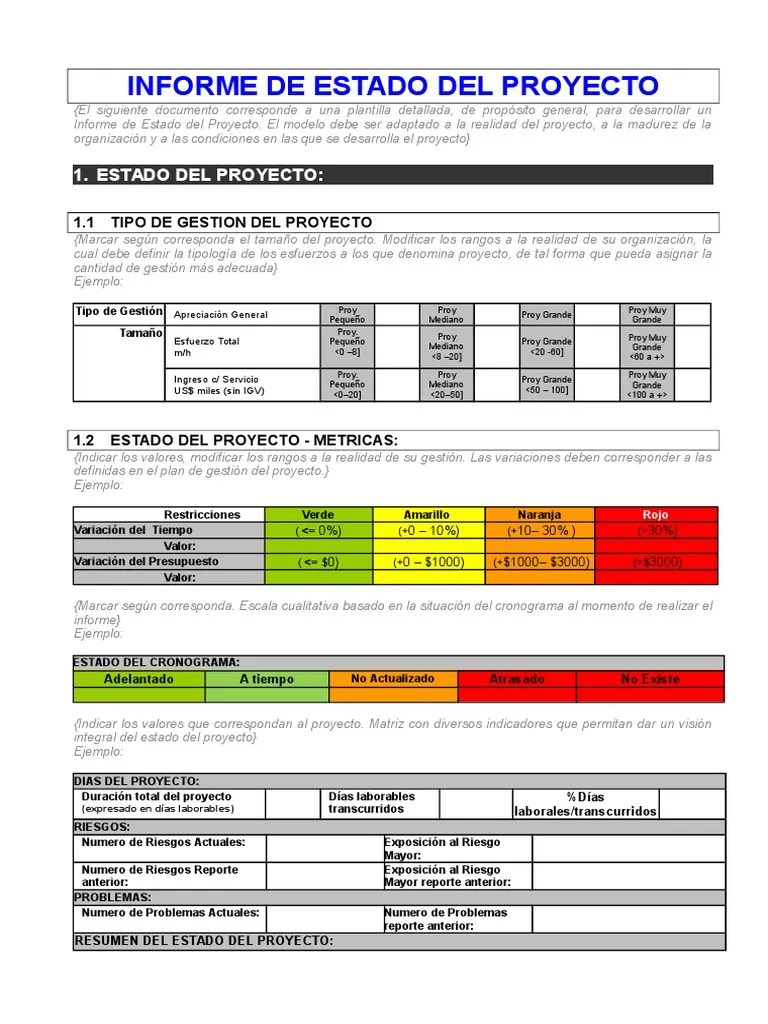 Ejemplo de Informe de Estado de Proyecto