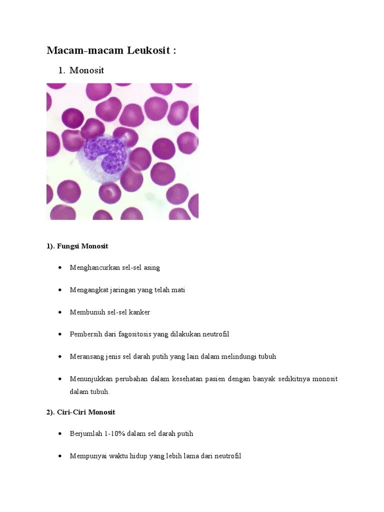 Prak. Hematologi | PDF