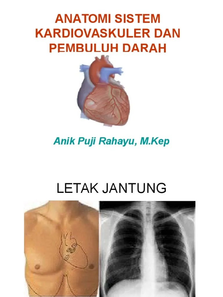 ANATOMI SISTEM KARDIOVASKULER DAN PEMBULUH DARAH.ppt