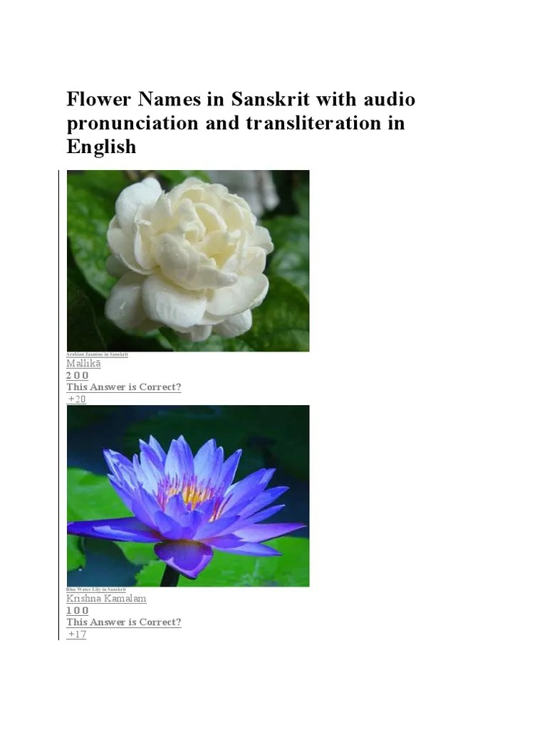 Flower Names in Sanskrit With Audio Pronunciation and Transliteration in English Plants Botany