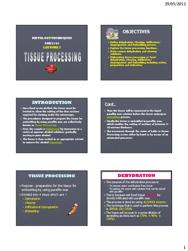Tissue Processing PDF Histology Applied And Interdisciplinary Physics