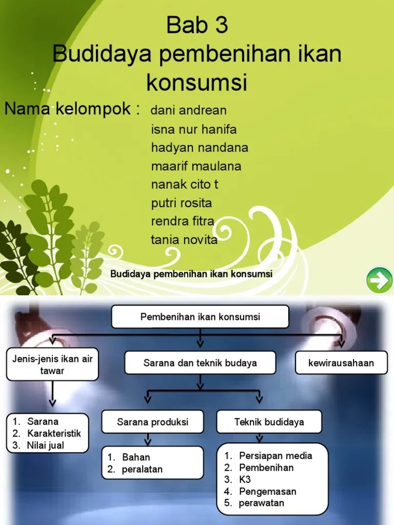 budidaya ikan konsumsi