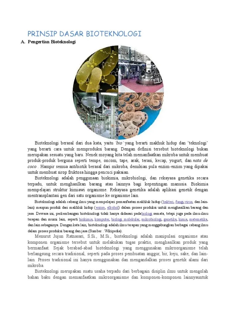 Jelaskan Prinsip Dasar Rekombinasi Dna DNA Informasi