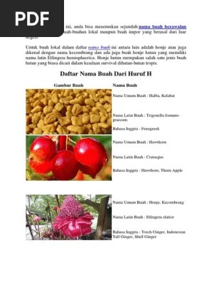 Daftar Nama Buah Dari Huruf H | PDF
