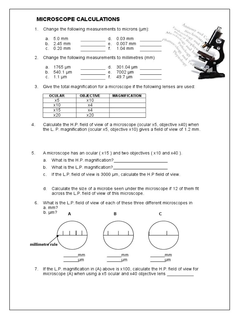 Calculating Field Of View Microscope Worksheet Calculating Field Of View Microscope Worksheet