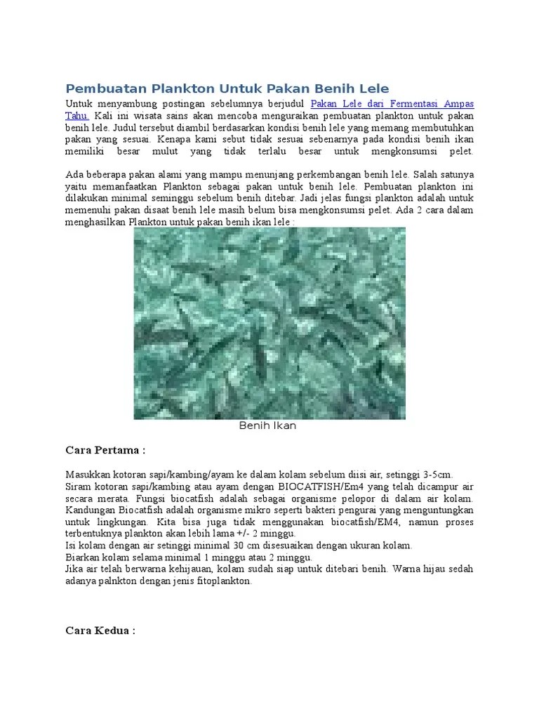Cara Membuat Plankton Untuk Makanan Ikan