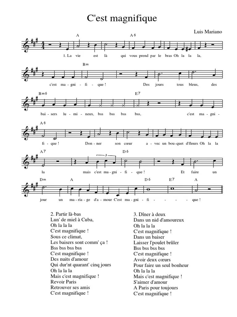 C'est Magnifique PDF