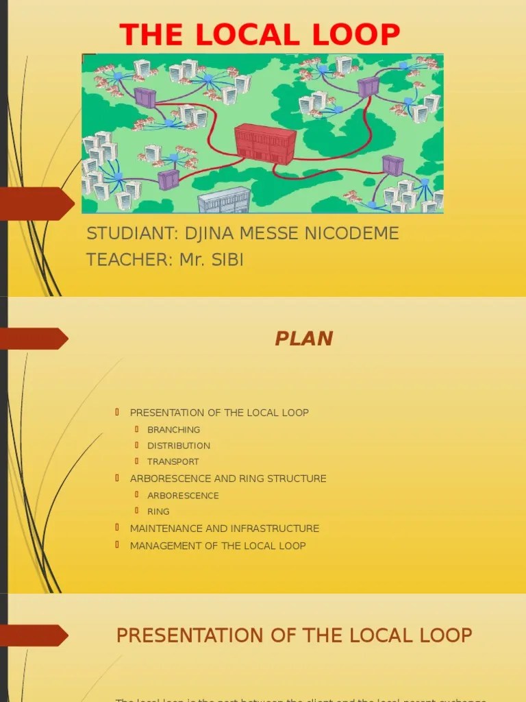 The Local Loop Cable Computer Network