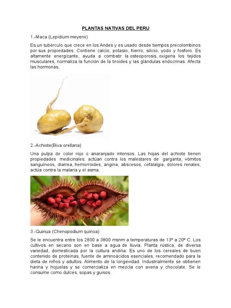 PLANTAS NATIVAS DEL PERU Vitamina C Vitamina