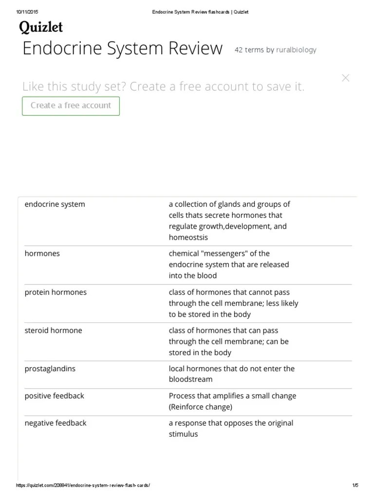 Endocrine System Review Flashcards _ Quizlet Hormone Endocrine System