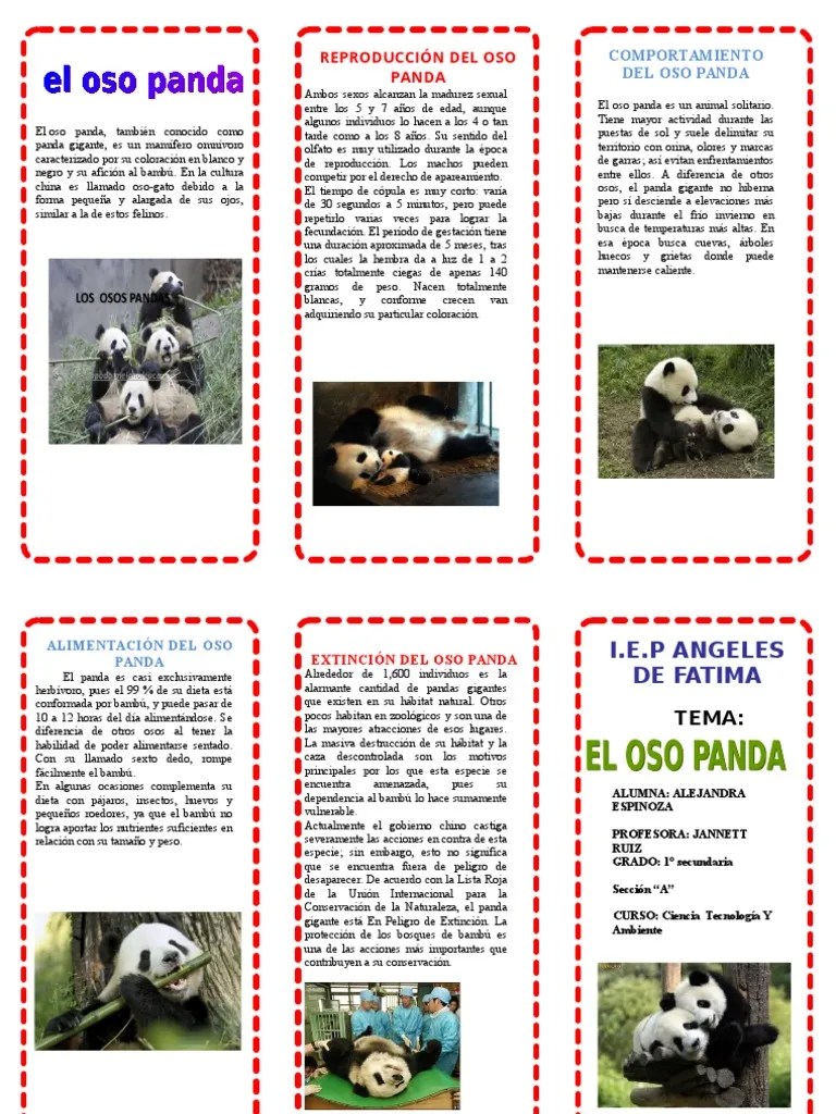 TRIPTICO OSO PANDA.doc Giant Panda Conservation