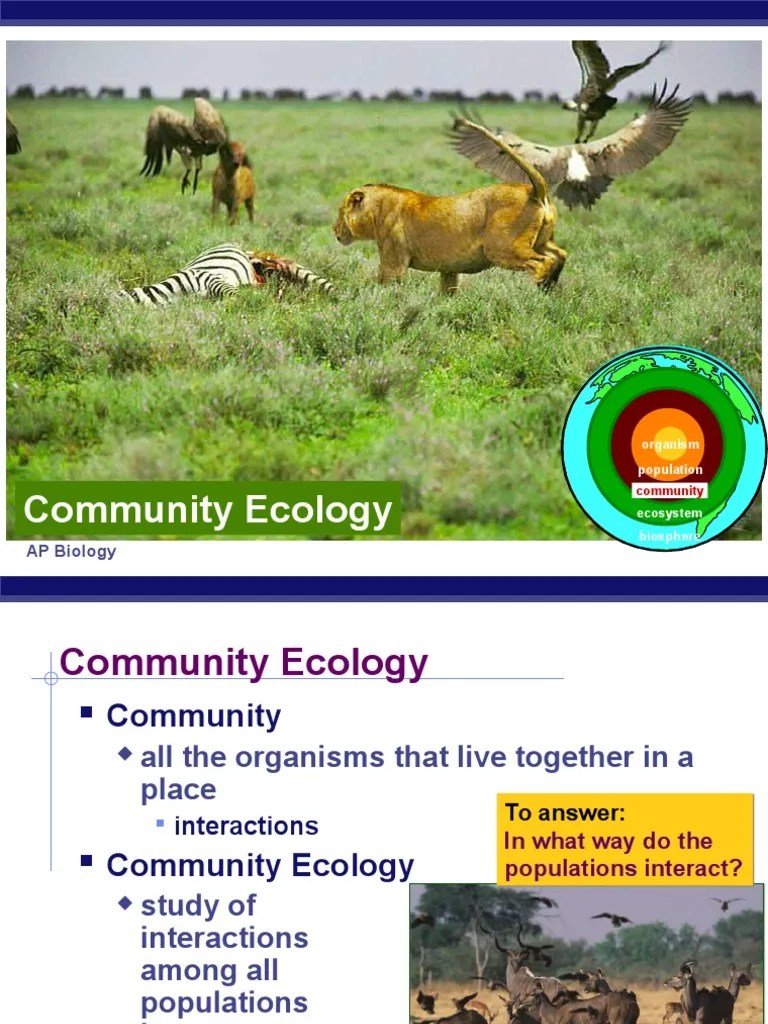 Community Ecology Powerpoint PDF Mimicry Ecological Niche