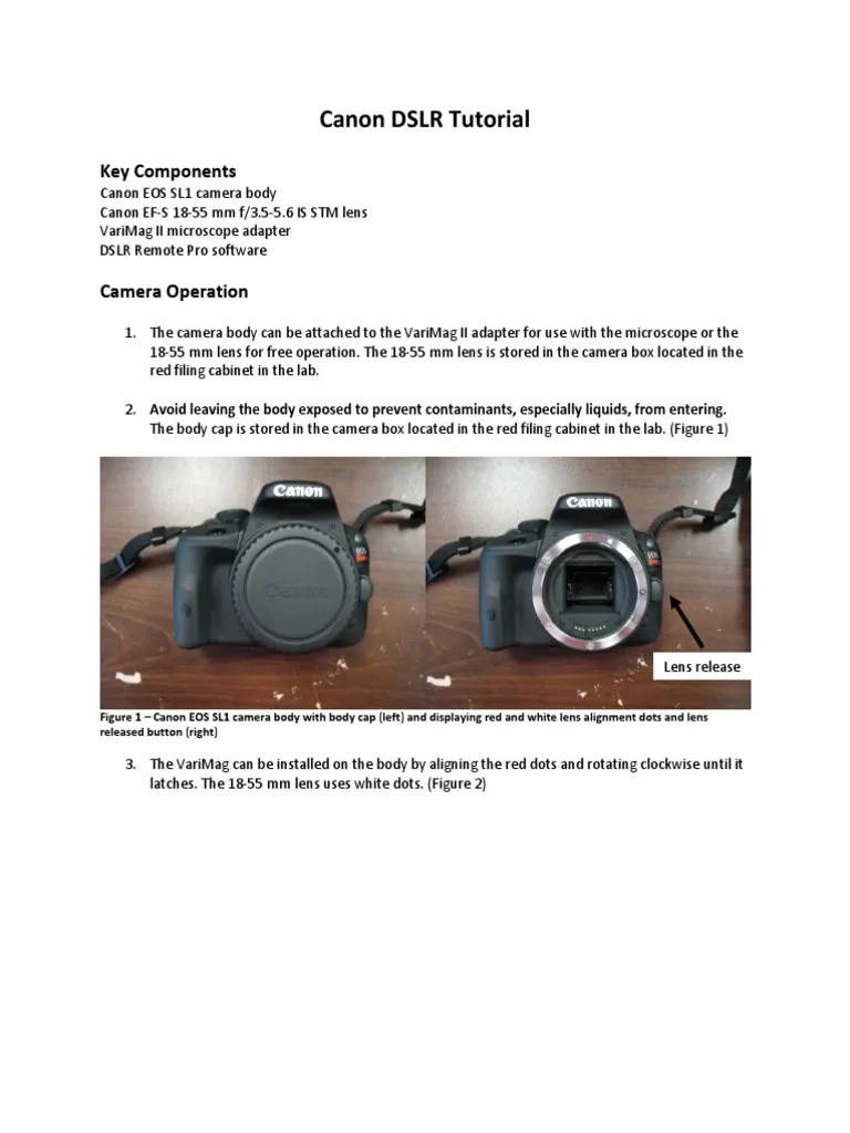 Canon DSLR Tutorial Key Components PDF Live Preview Digital Single Lens Reflex Camera