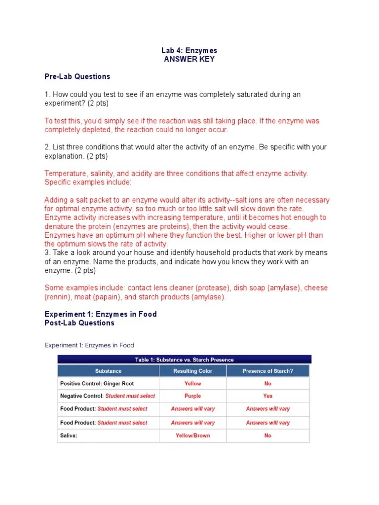 Lab04 Answerkey PDF Digestion Enzyme