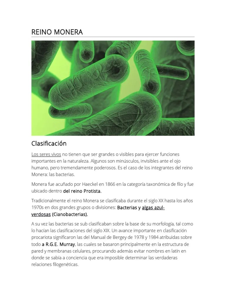 Reino Monera y su descripciÃ³n Las bacterias BiologÃ­a Celular