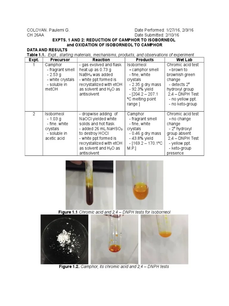 REDUCTION OF CAMPHOR TO ISOBORNEOL and OXIDATION OF ISOBORNEOL TO