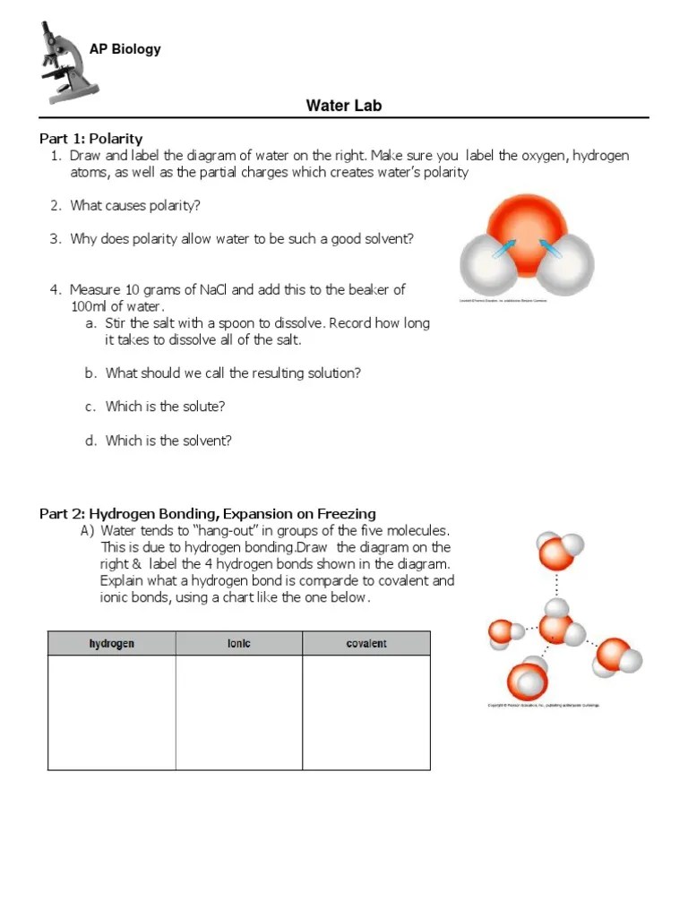 Water_Lab.pdf Properties Of Water Evaporation