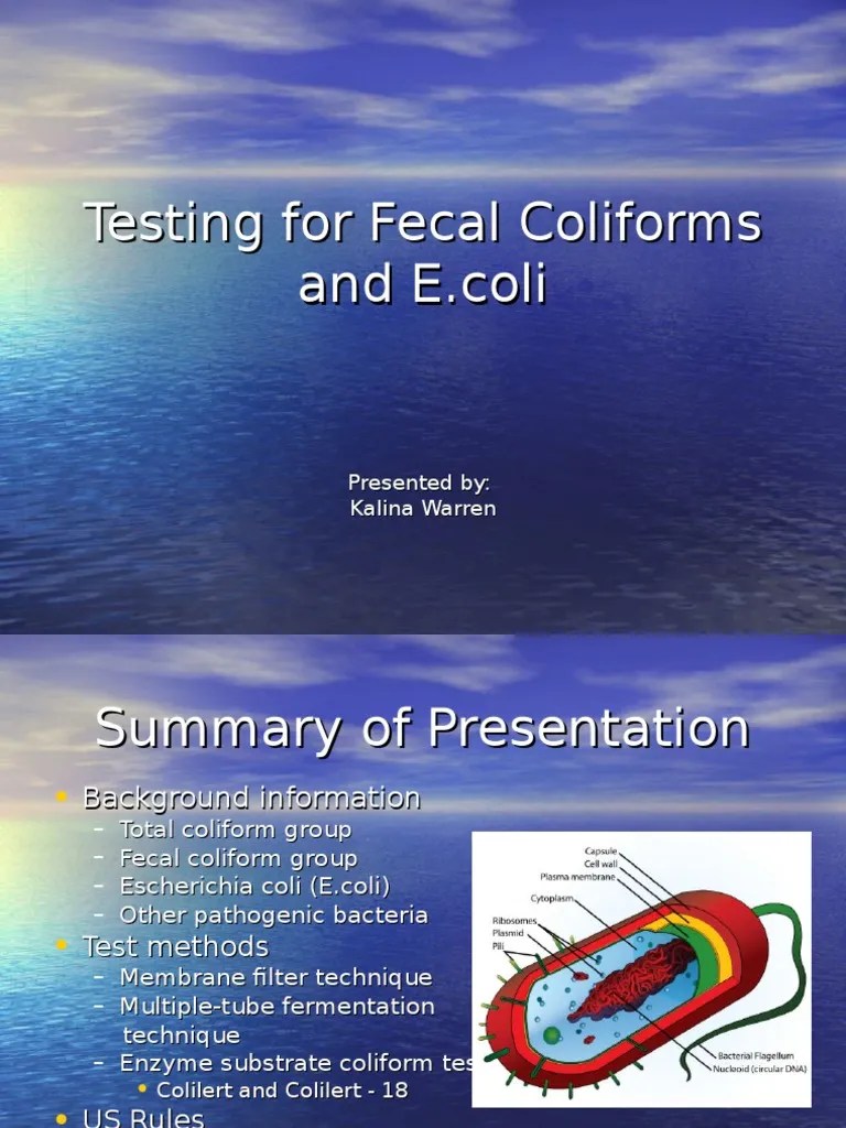 Testing for Fecal Coliform Sande Microbiology Prokaryote