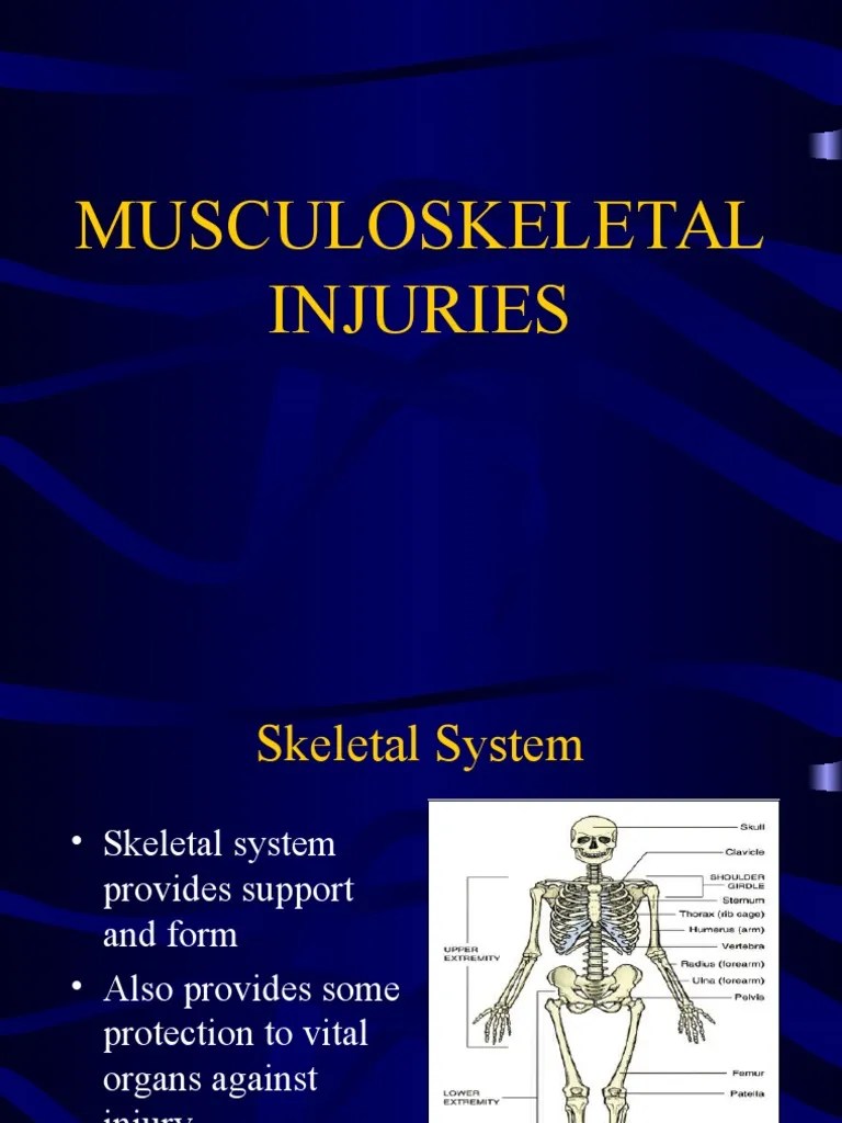 Musculoskeletal Injuries.ppt Knee Hip