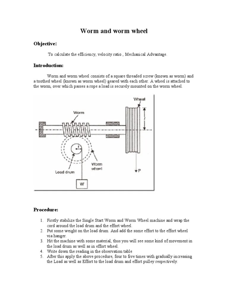 Worm and Worm Wheel Machines Applied And Interdisciplinary Physics