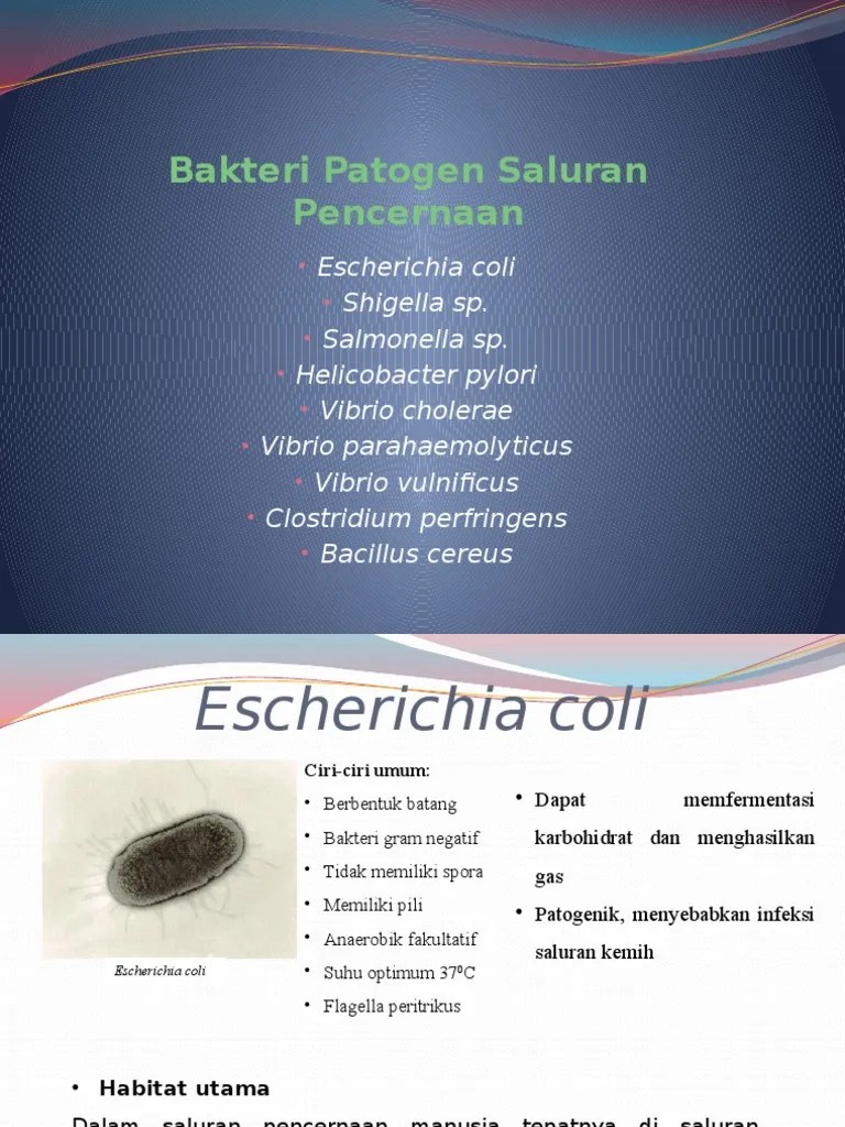 Bakteri Patogen Saluran Pencernaan | PDF