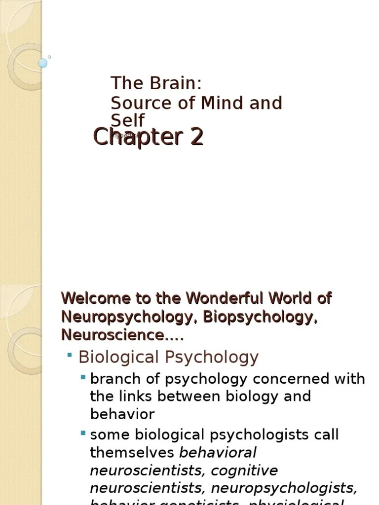Chap2 Day1 Neurons RV 2016 | PDF | Neurotransmitter | Nervous System