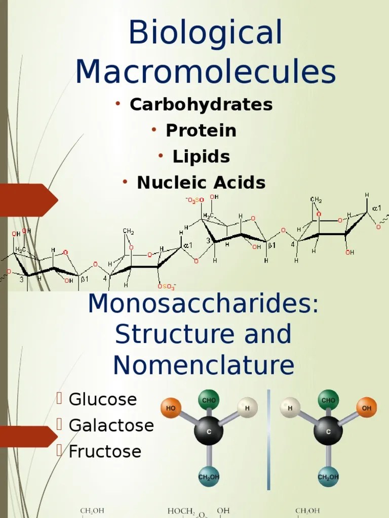 Biological Macromolecules Carbohydrates Glucose