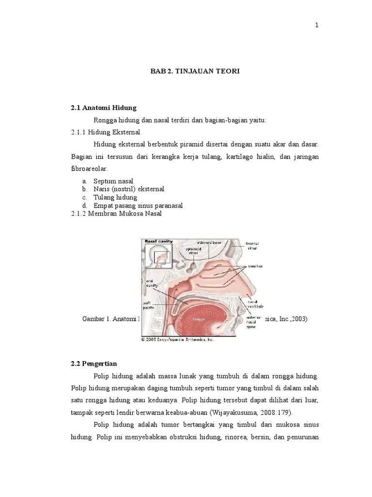 BAB 2 Polip Hidung
