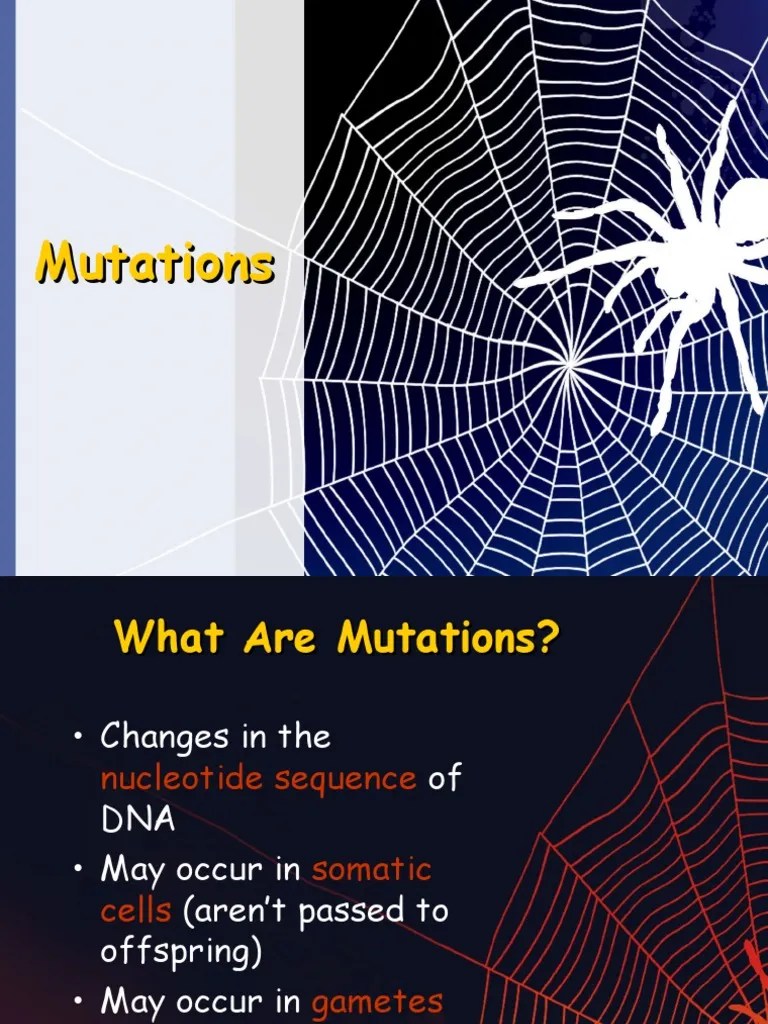 types of mutations.ppt