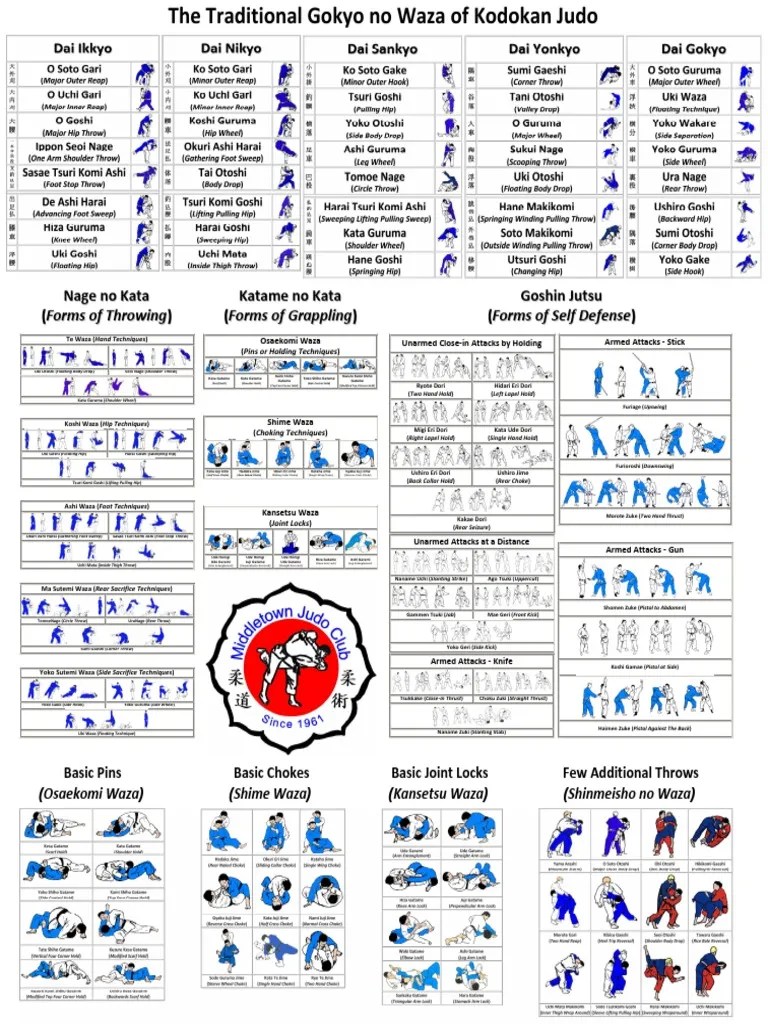 Judo Techniques Poster.pdf