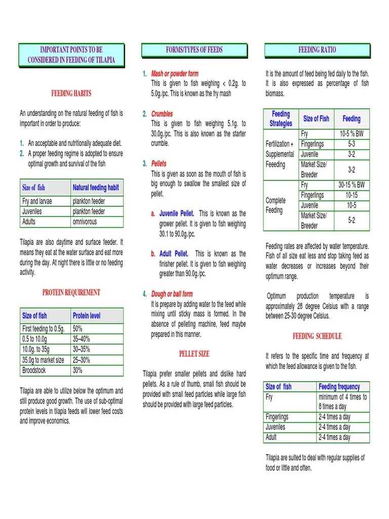 Feeding of Tilapia Fish Pond Free 30day Trial Scribd