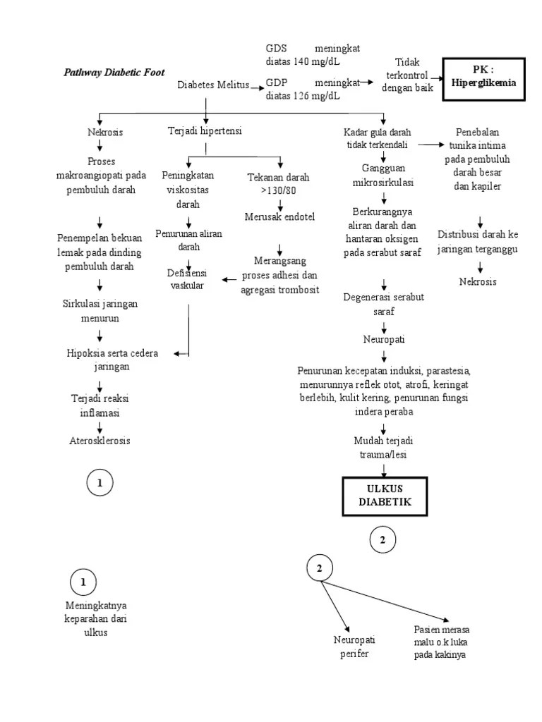 Pathway Ulkus Diabetes Melitus My Hobby