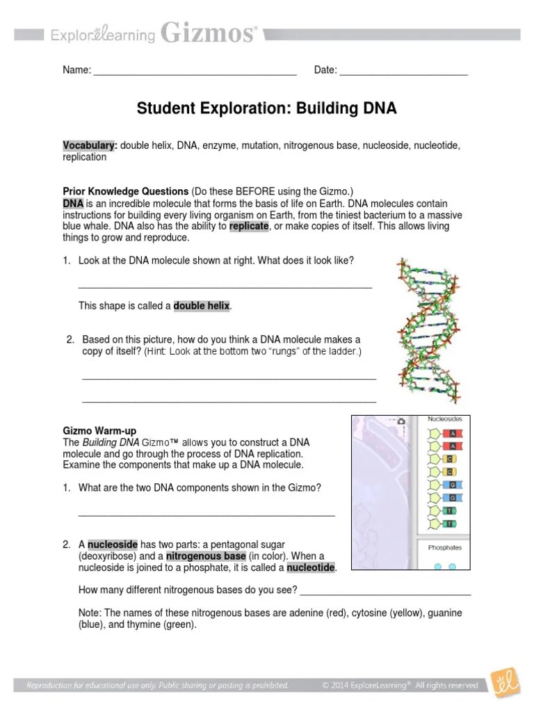 Primary and secondary sources activity the byzantine empire and emerging europe answer key pdf. Building Dna Dna Replication Dna