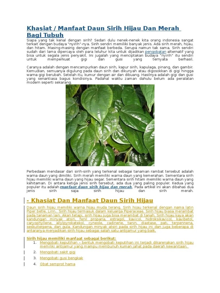 Daun Sirih PDF
