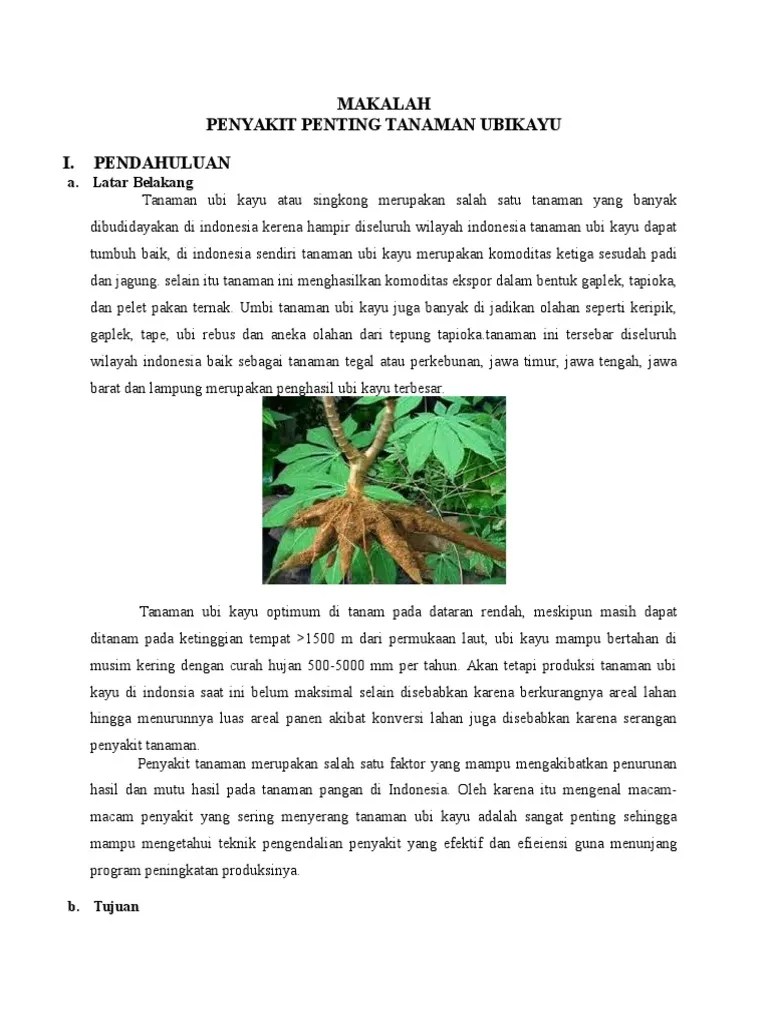 Makalah Ubi Kayu Contoh Makalah