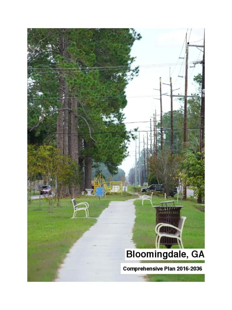Bloomingdale Comprehensive Plan PDF Swot Analysis Zoning