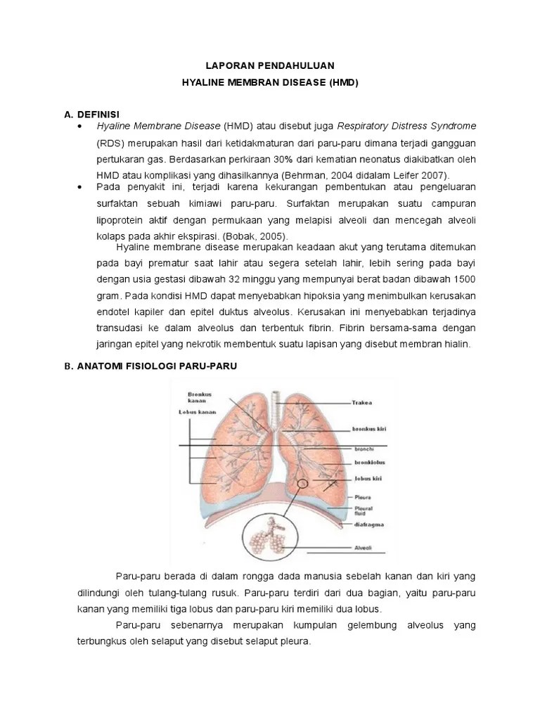 Hyaline Membrane Disease Revisied PDF
