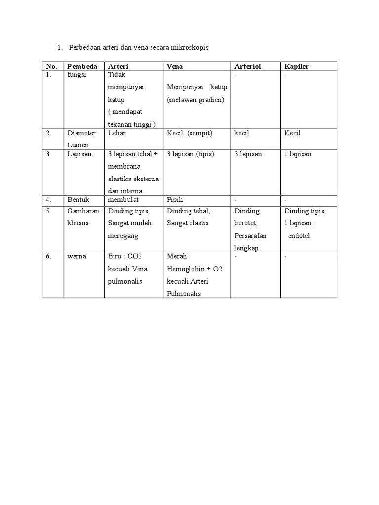 Arteri Dan Vena | PDF