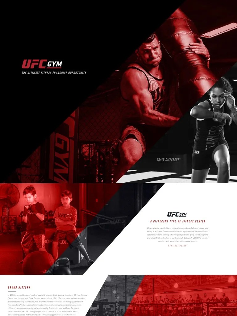 UFC GYM Franchise Brochure 733242287 PDF Ultimate Fighting