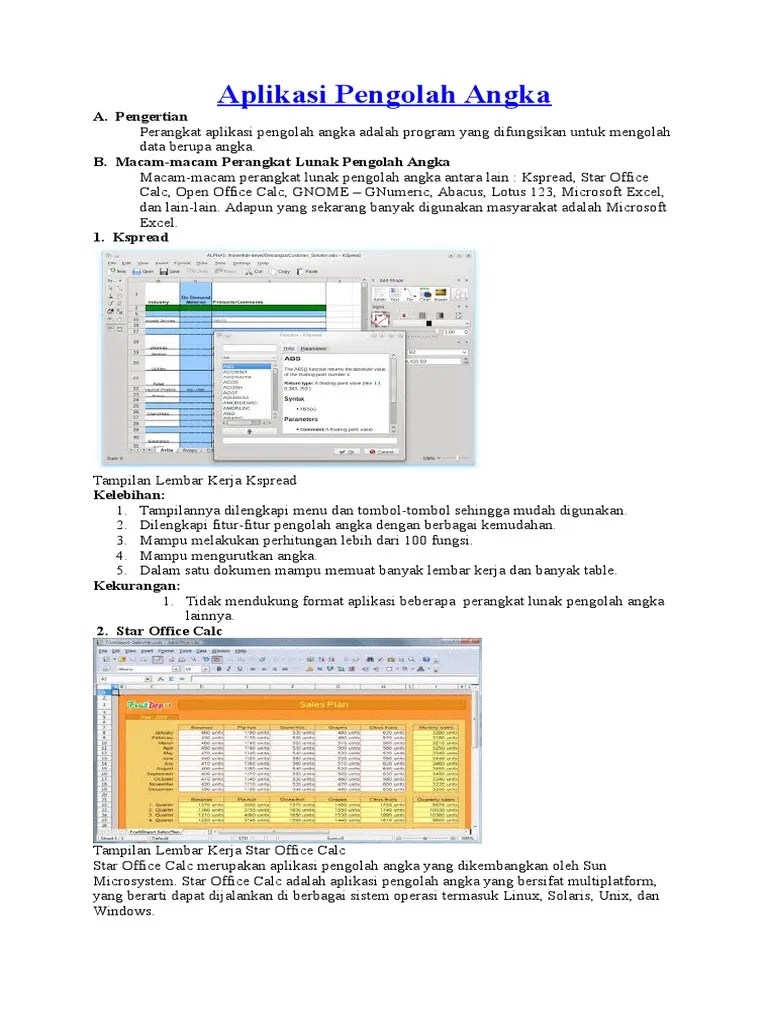 Aplikasi Pengolah Angka | PDF