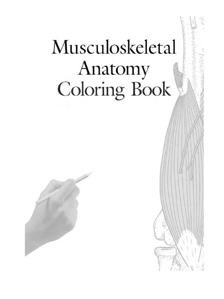 Musculoskeletal Anatomy Coloring Book Foot Human Leg