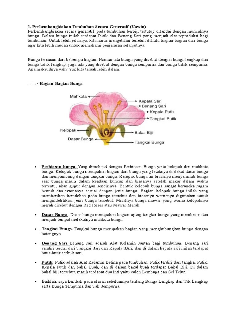 Terkeren 29+ Gambar Bunga Tidak Sempurna Dan Penjelasannya Koleksi