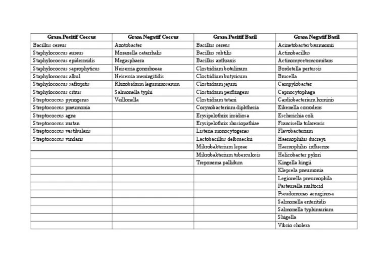 Contoh Bakteri Gram Positif Dan Negatif Adalah Berbagai