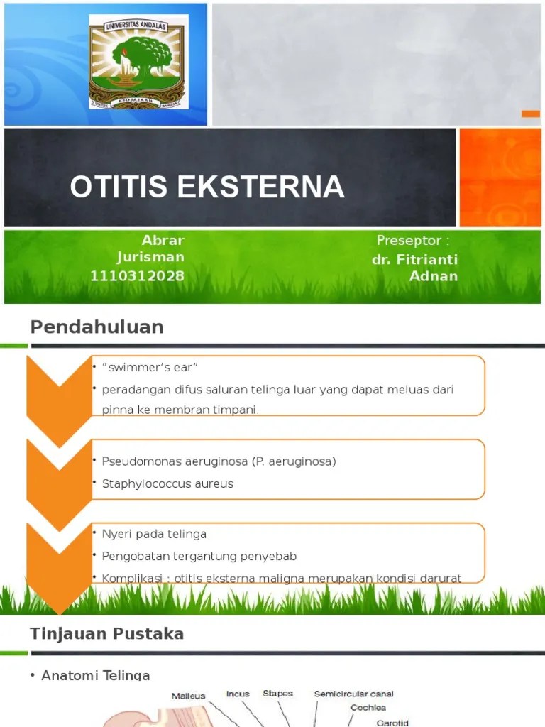 Otitis Eksterna Abrari Pptx